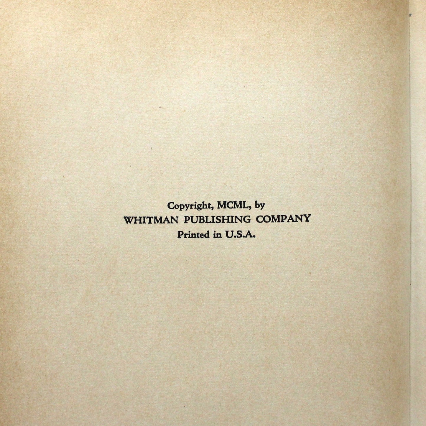 Children's Book, The Bobbsey Twins Merry Days Indoors and Out, Hardcover, Vintage 1950