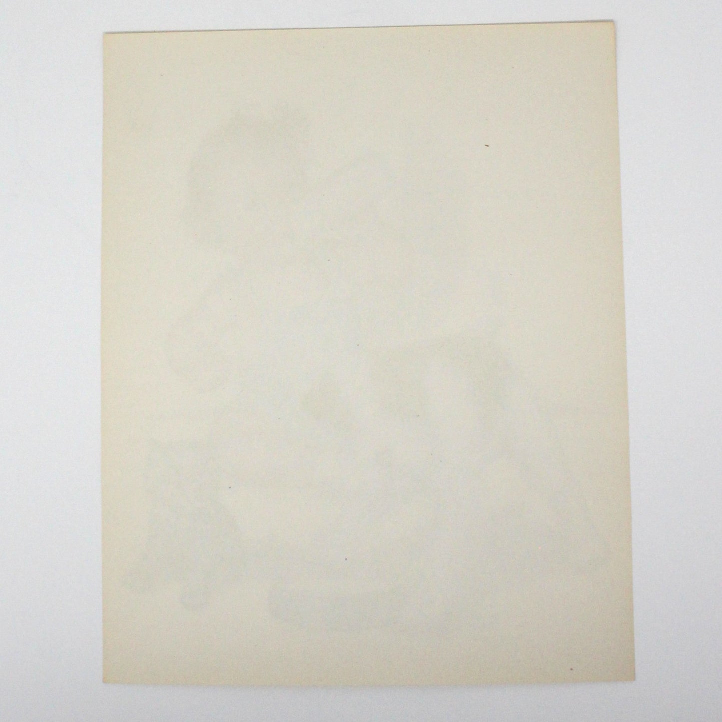 Print, Lithograph, Charlotte Becker, Baby with Terrier Dog and Kitten, Vintage, 1940's