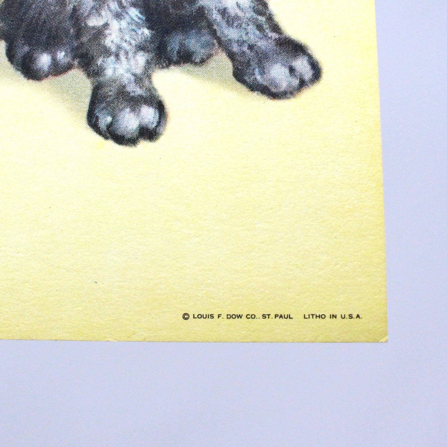 Print, Lithograph, Charlotte Becker, Baby with Terrier Dog and Kitten, Vintage, 1940's