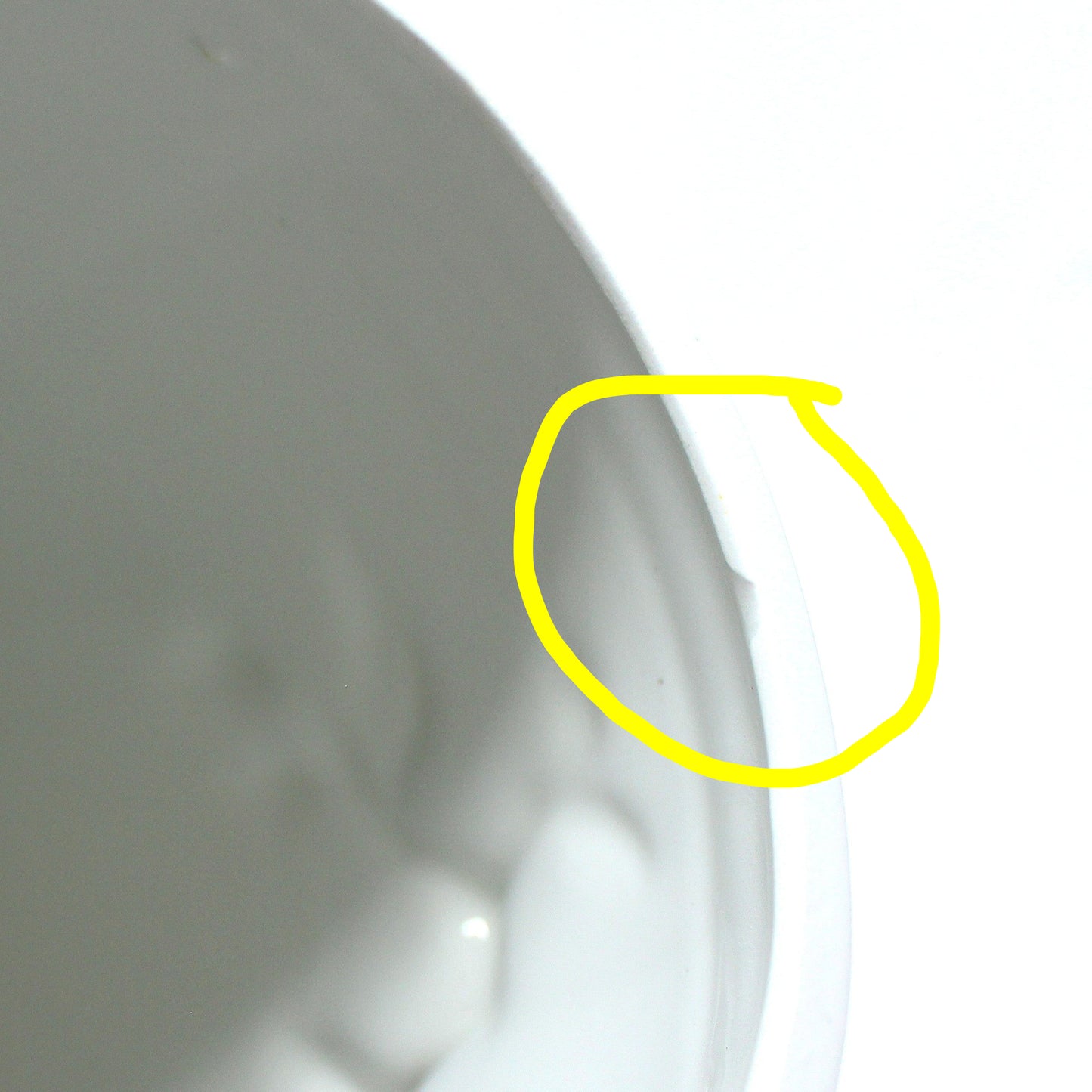 Vase, Oggetti Italy, Tropical Dimensional Parrot, Hand Painted, Vintage RARE