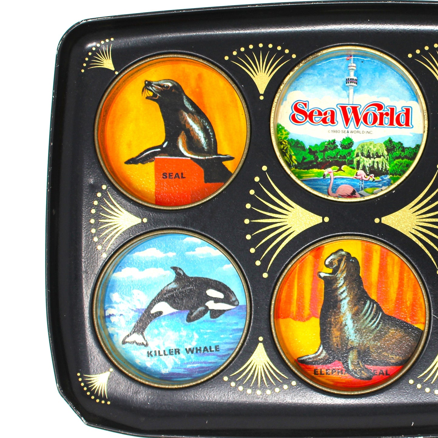 Tray, Drink Serving Tray, Sea World Souvenir, Midcentury Barware, Drink Caddy, Vintage