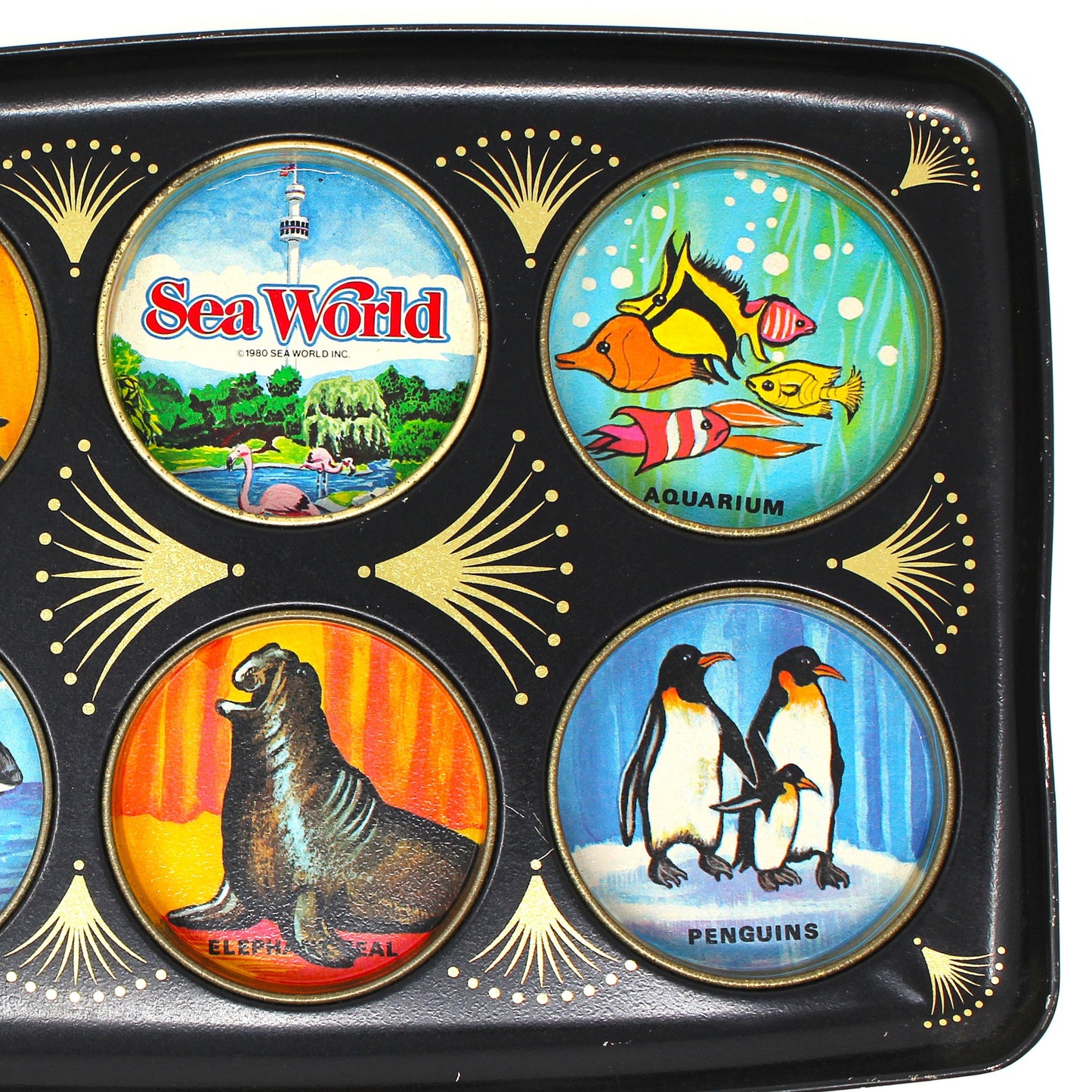 Tray, Drink Serving Tray, Sea World Souvenir, Midcentury Barware, Drink Caddy, Vintage