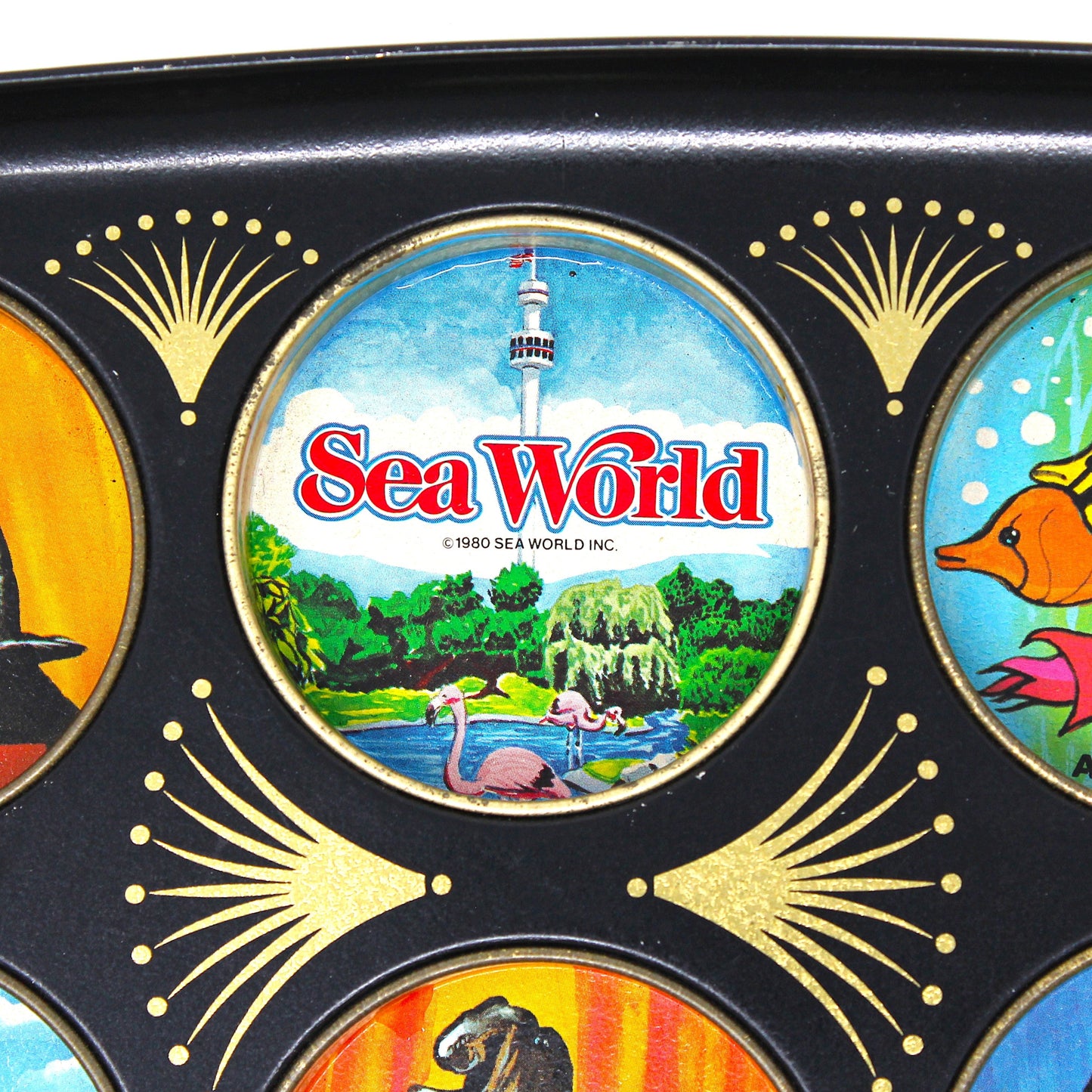 Tray, Drink Serving Tray, Sea World Souvenir, Midcentury Barware, Drink Caddy, Vintage
