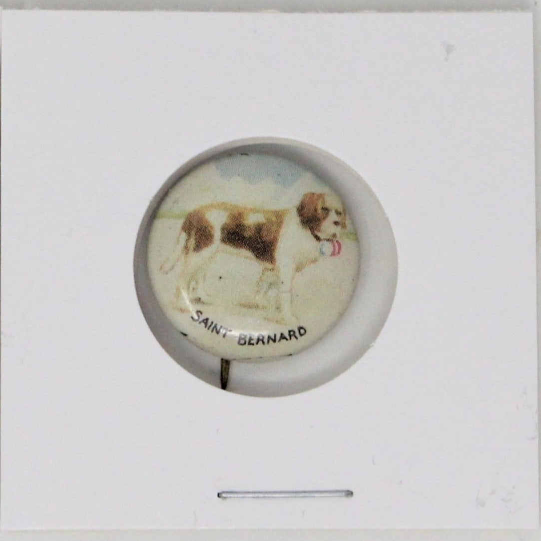 Pinback, Mini Pinback Button, Saint Bernard Dog, Tin Lithograph, Vintage