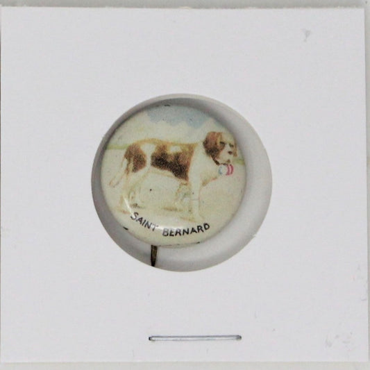 Pinback, Mini Pinback Button, Saint Bernard Dog, Tin Lithograph, Vintage