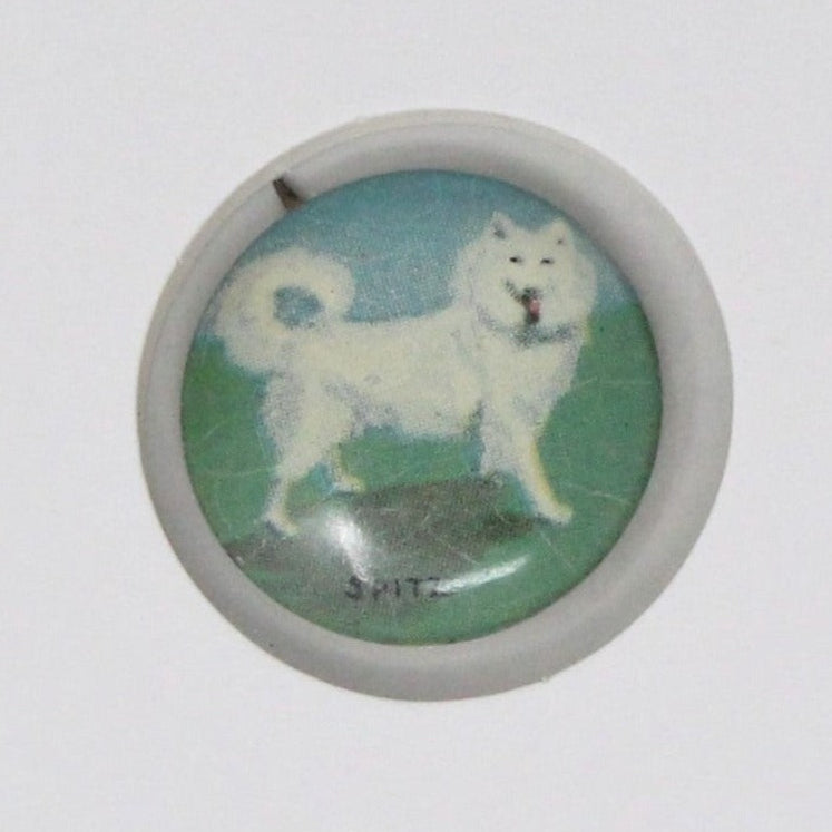 A vintage pinback button featuring an illustration of a German Spitz dog on a blue background, with the text 'SPITZ' at the bottom.