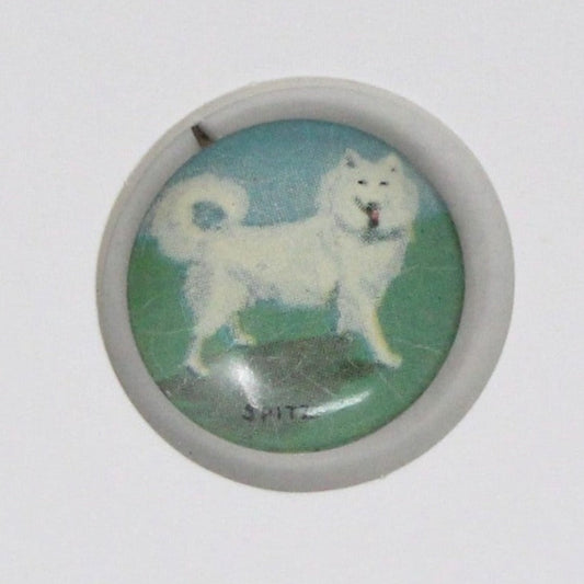 A vintage pinback button featuring an illustration of a German Spitz dog on a blue background, with the text 'SPITZ' at the bottom.