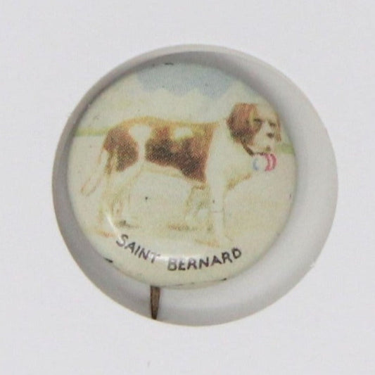 A vintage mini pinback button featuring an illustration of a Saint Bernard dog.