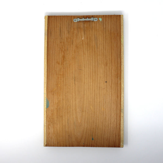 Painting Original Oil, Amateur Art on Wood, Angelfish, Rustic Coastal, Sealife, Vintage