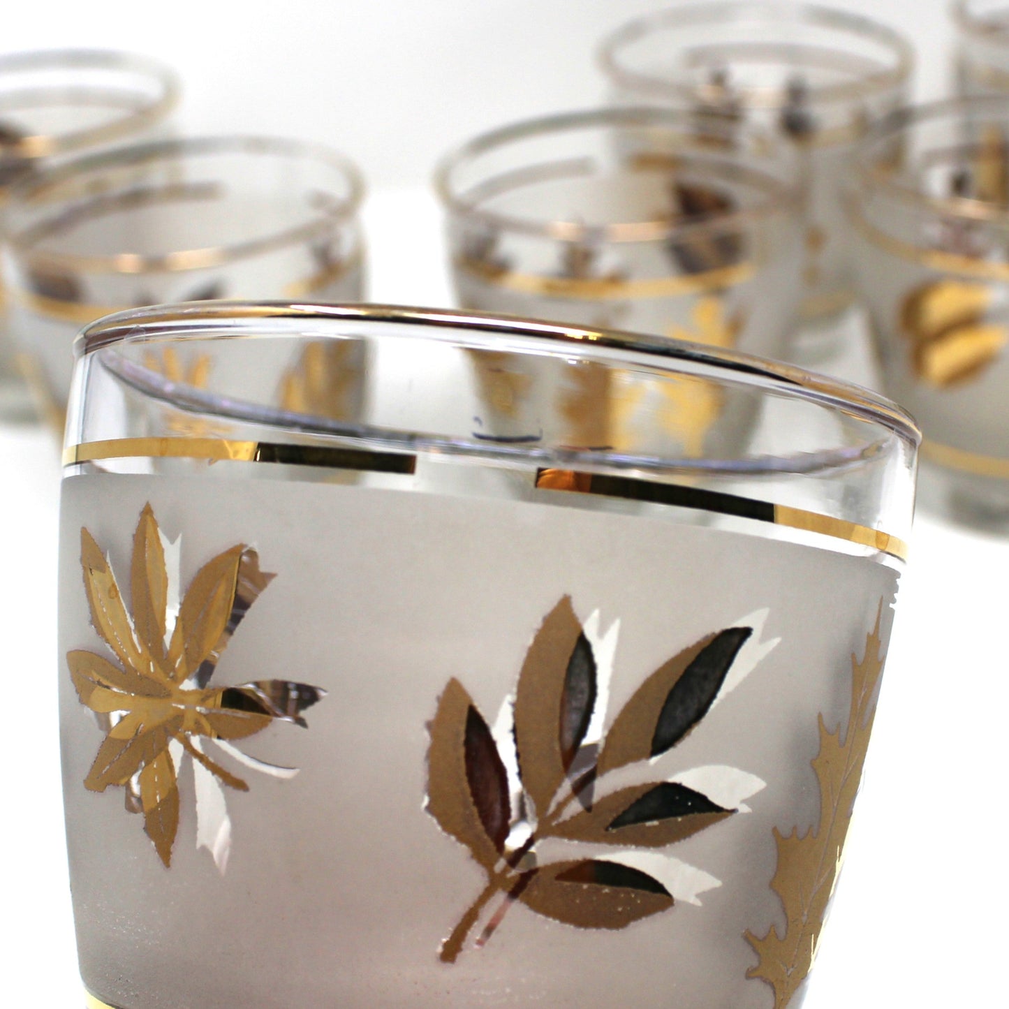 Set of glass tumblers with leaf design on a white background