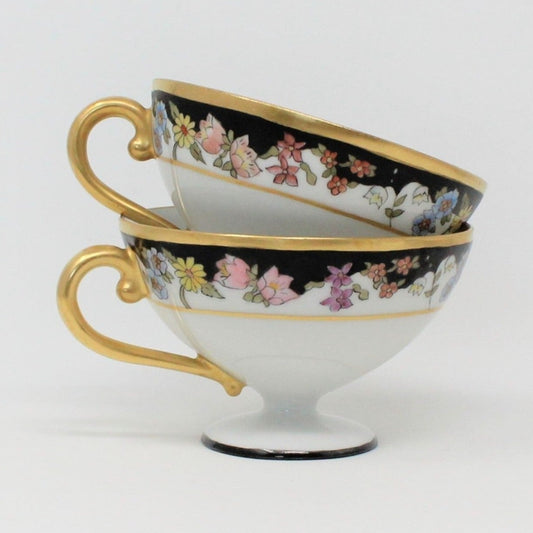 Teacup, CT Altwasser, Hand Painted Florals, Set of 2, Czechoslovakia, Antique