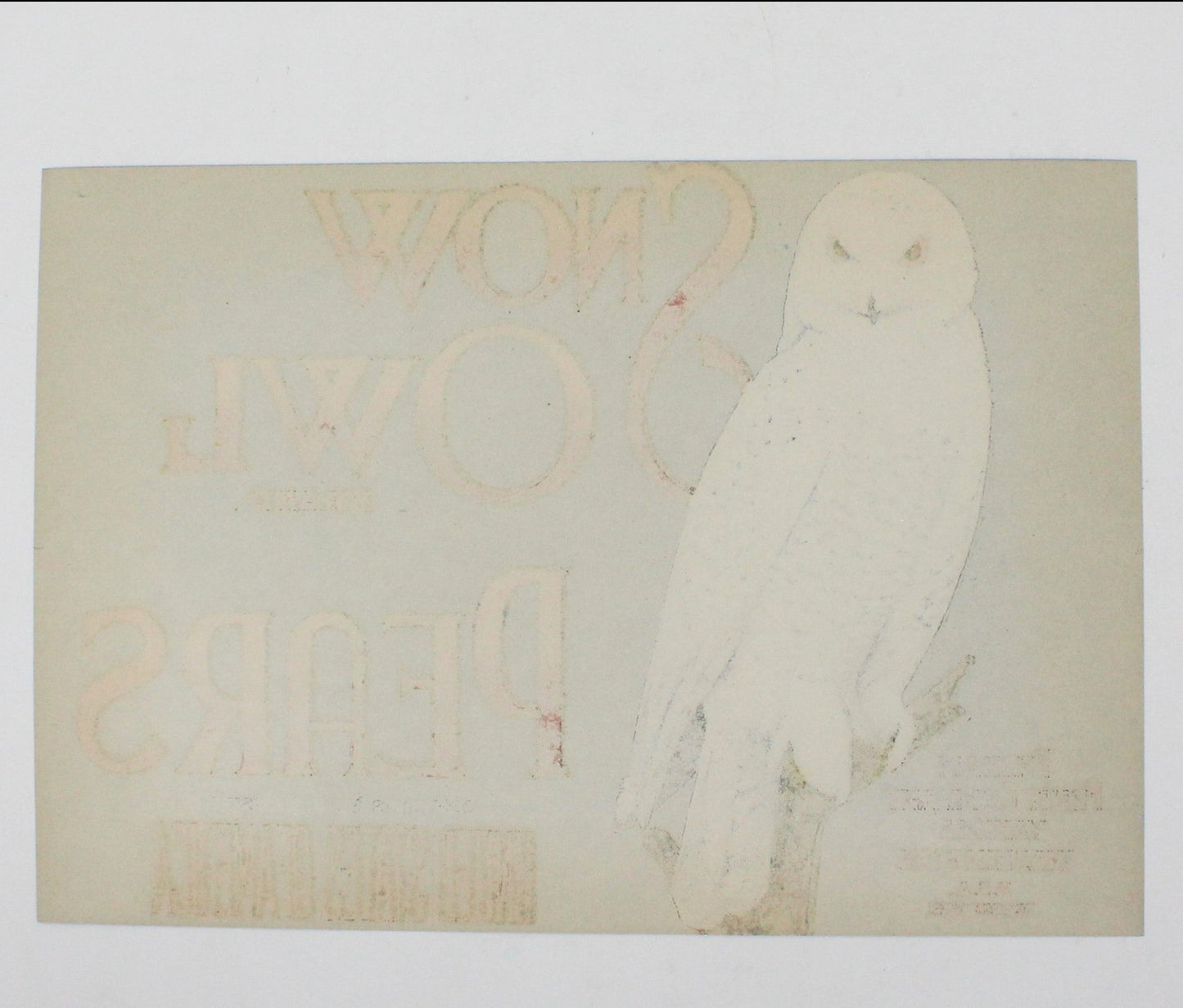 Crate Label, Snow Owl Brand Pears, Blue, Perham Fruit Co, Vintage, 1930's