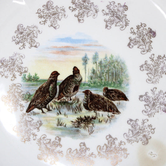 Decorative Plate, Sevres, Woodland Animals, Game Birds, Grouse, French Antique