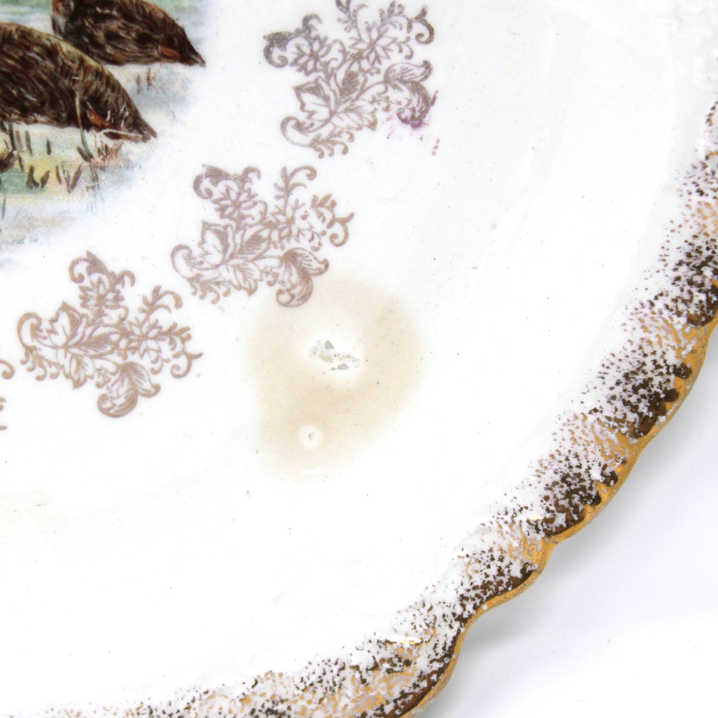 Decorative Plate, Sevres, Woodland Animals, Game Birds, Grouse, French Antique