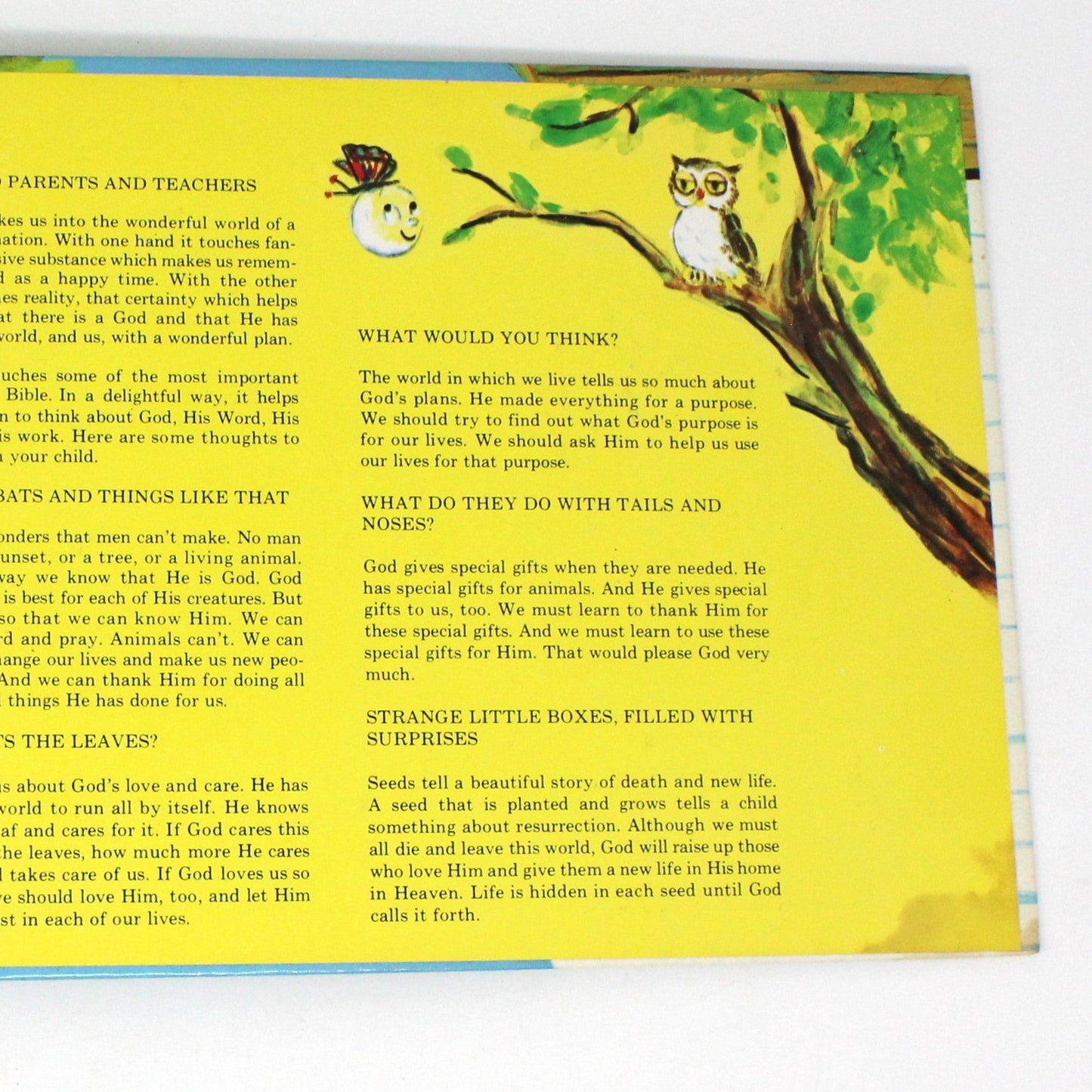 Children's Book, Wonder World Books, Cats and Bats and Things Like That, Gilbert Beers, Hardcover, Vintage 1973