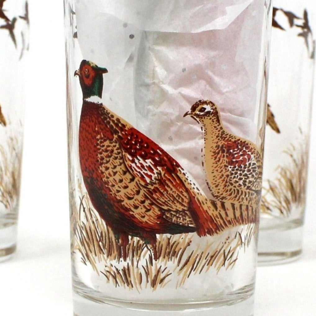Glasses, Cocktail / Highball, Libbey, Pheasant Pattern, Set of 4, Vintage