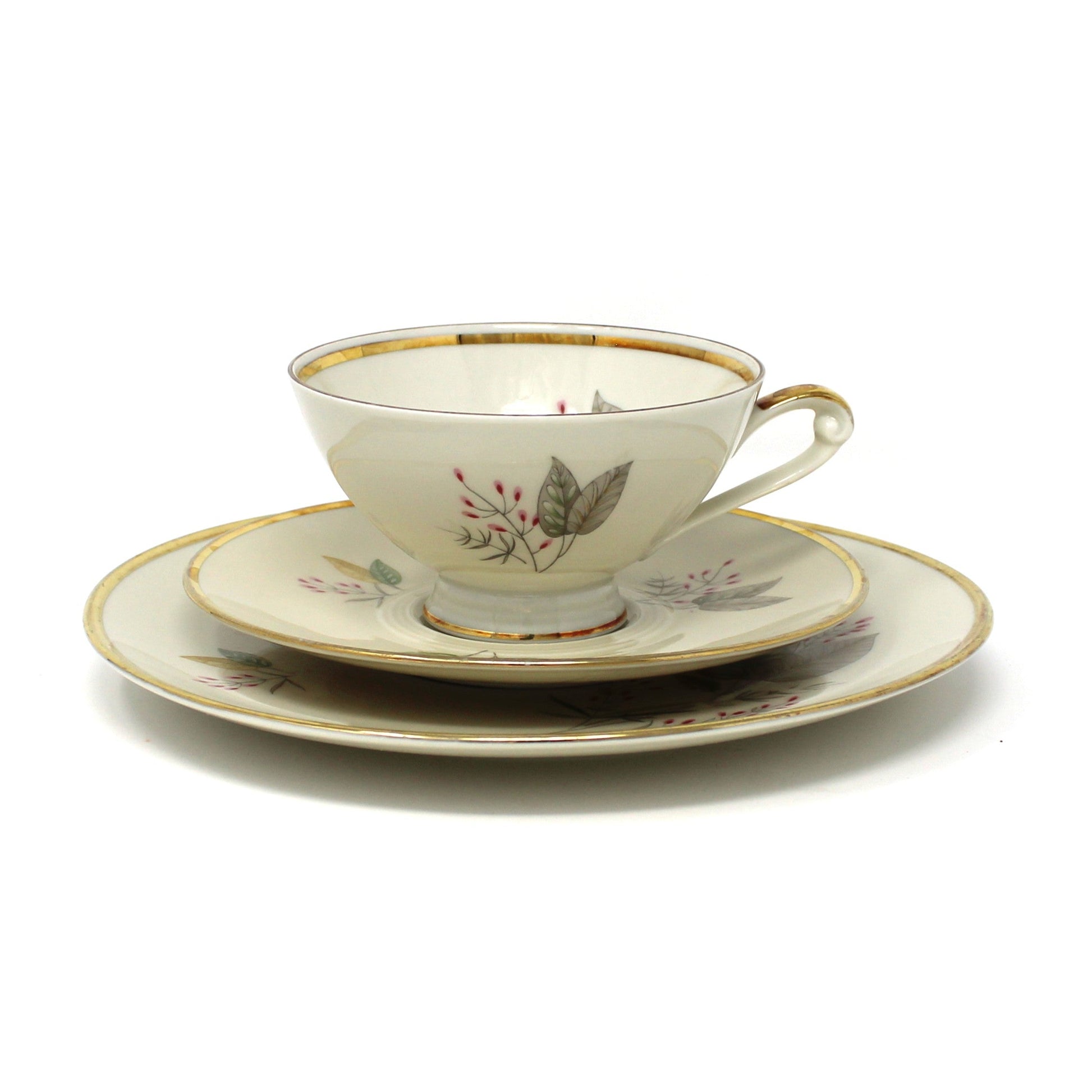 Vintage Tea cup and saucer set with matching plate.  Leaves and floral design on a beige background and gold rims.