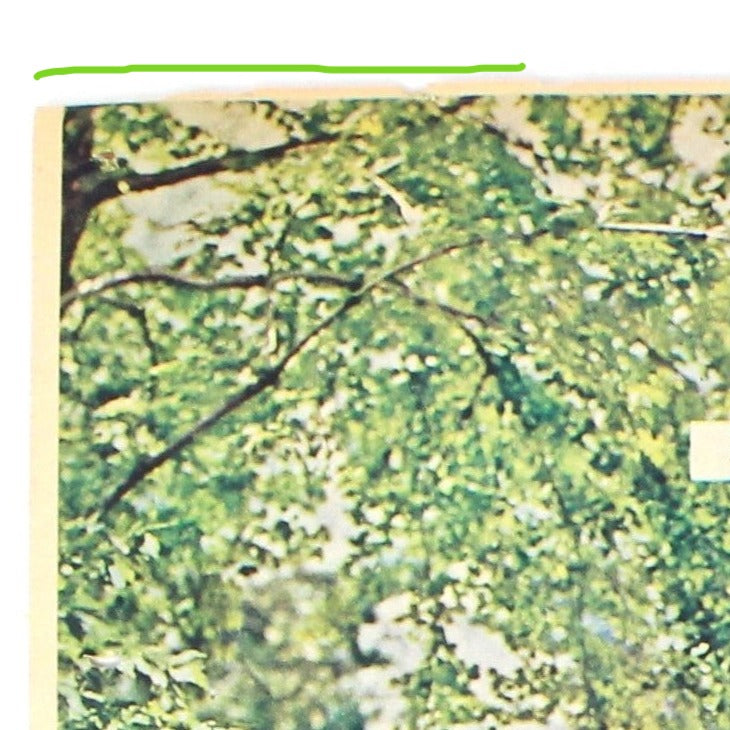 Advertisement, Salem Cigarettes, 1962, Original Magazine Ad, Vintage