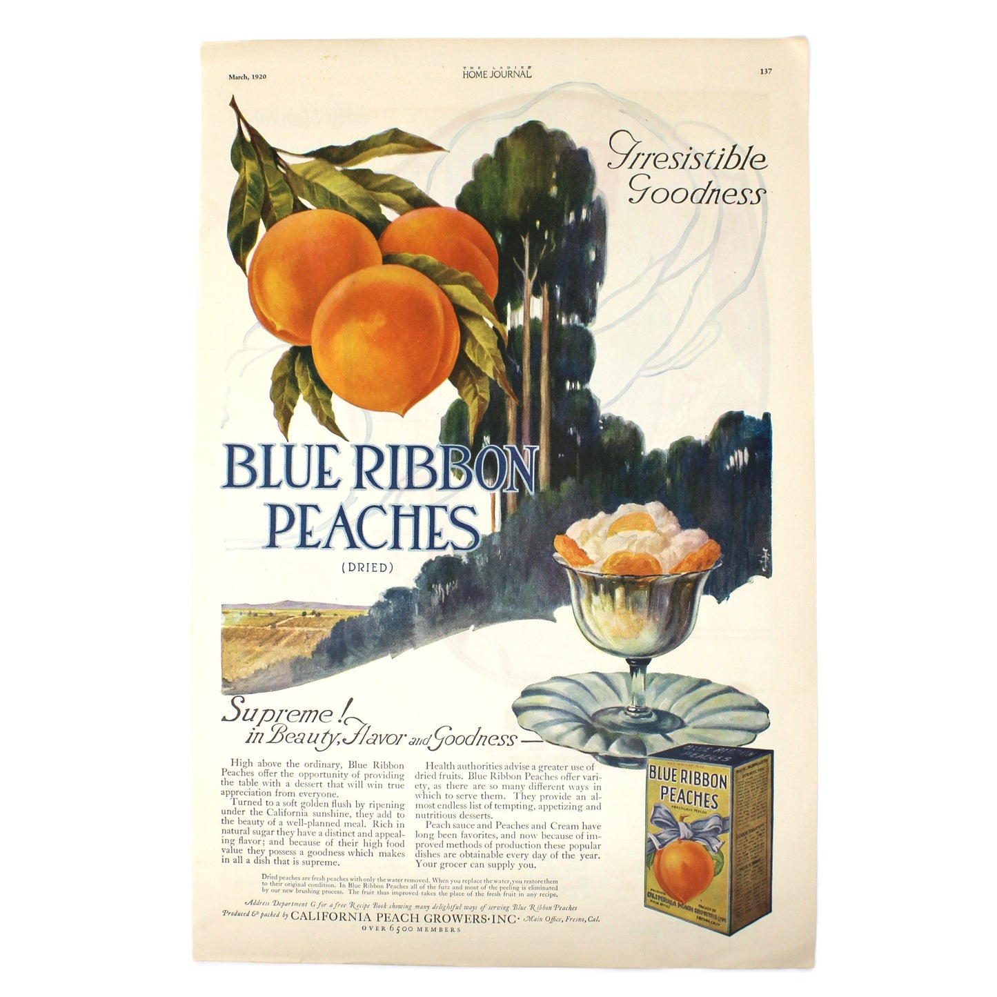 Vintage advertisement for Blue Ribbon Peaches with illustrations of peaches and a box. 1920