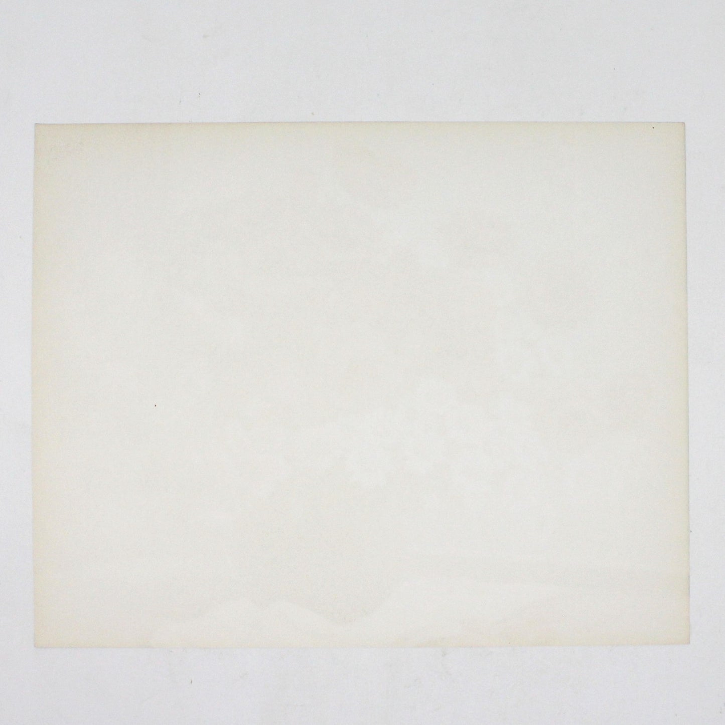 Print, Lithograph, Floral Artwork with Red Poppies & Daisies in Vase, Vintage