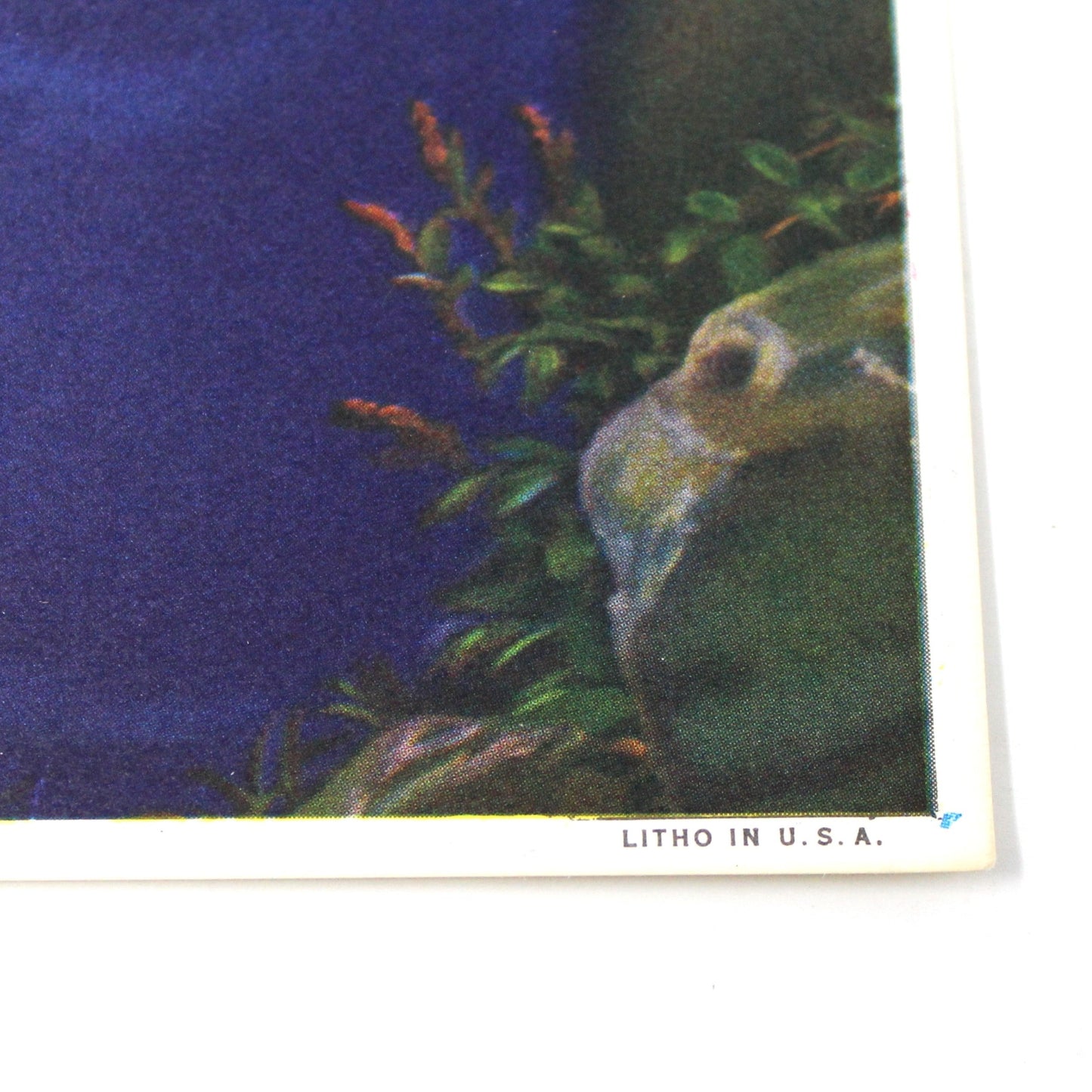 Print, Lithograph, Christ on Mount of Olives, Vintage