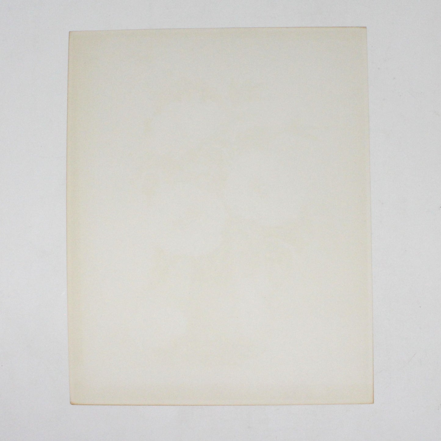 Print, Lithograph, Floral Artwork Peonies by W. E. Powell, Signed Vintage