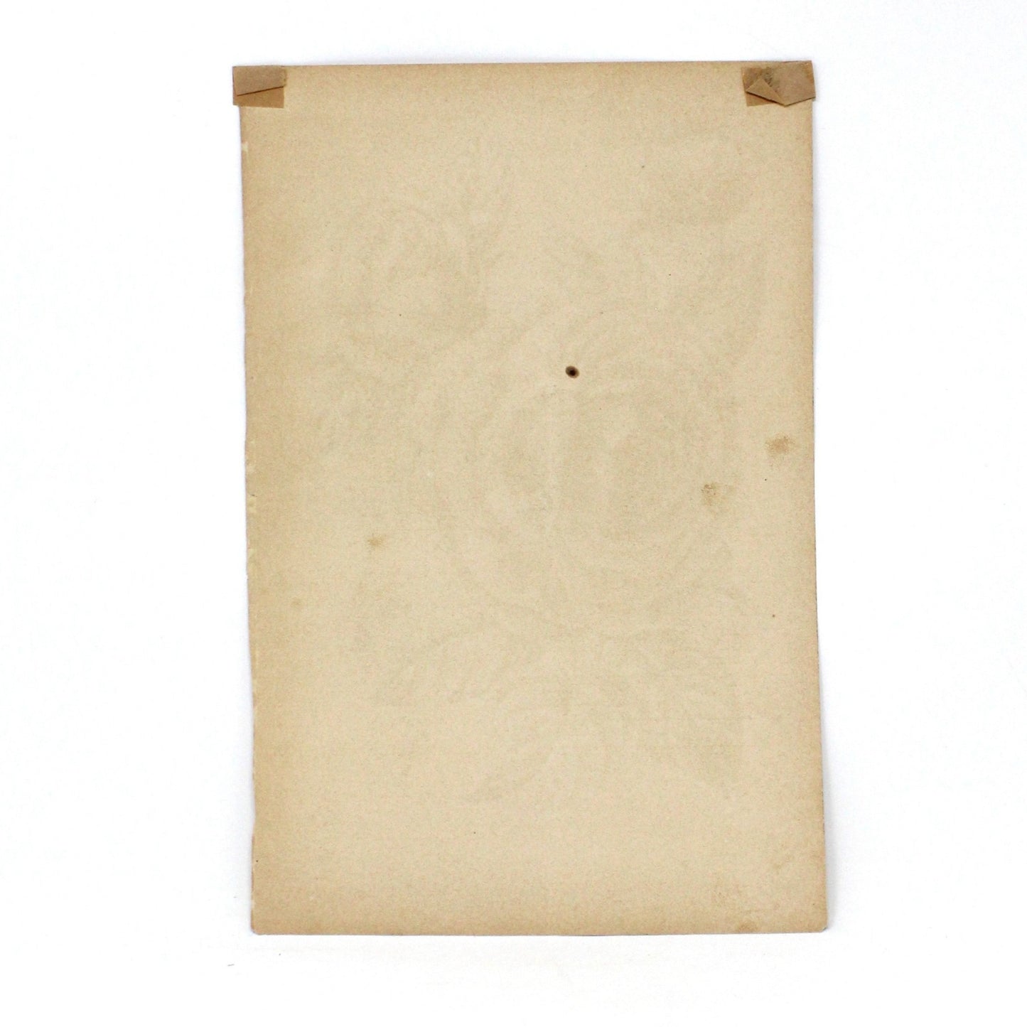 Print, Botanical Print, Rose HP Countess of Rosebery, Antique Chromolithograph