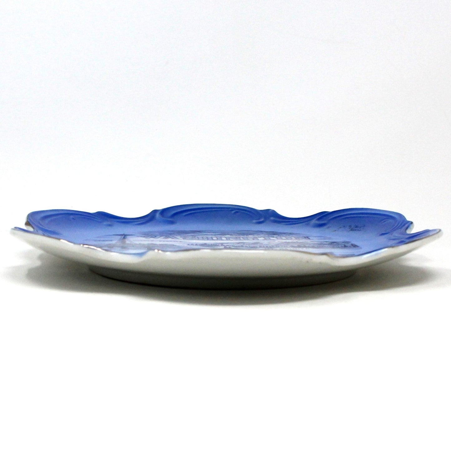 Decorative Plate, Souvenir State Collectors Plate, Washington, Blue & White, Vintage