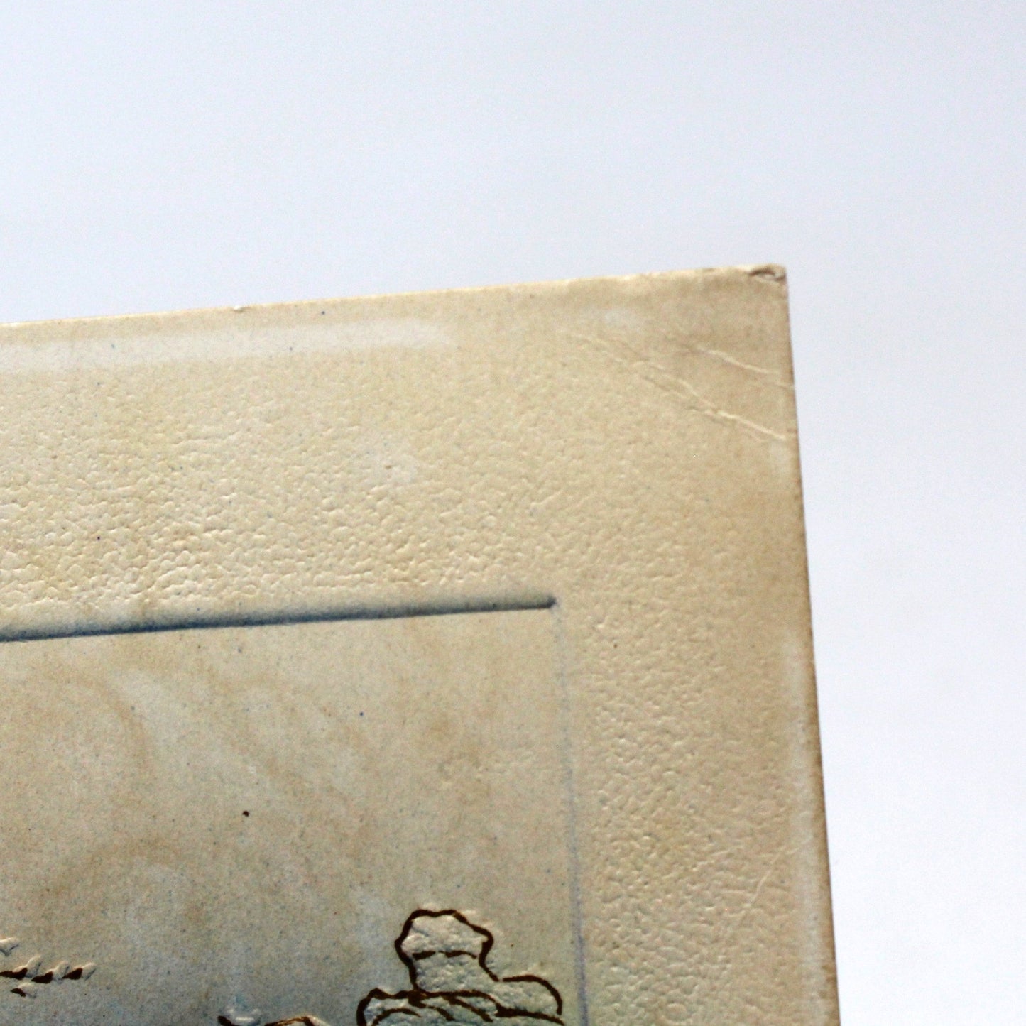 Postcards, Thanksgiving Card, Embossed & Gilded Turkey Air Brushed, Thanksgiving Greetings, Antique