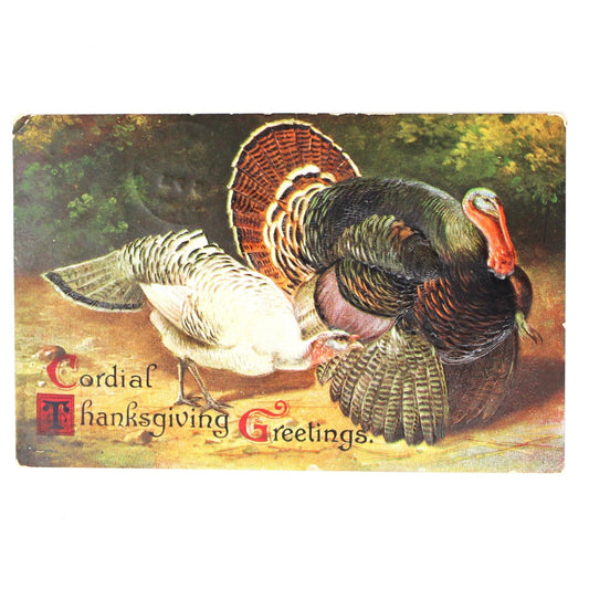 Original Antique postcard featuring an embossed illustration of two turkeys, Tom and Hen, with 'Cordial Thanksgiving Greetings' text.