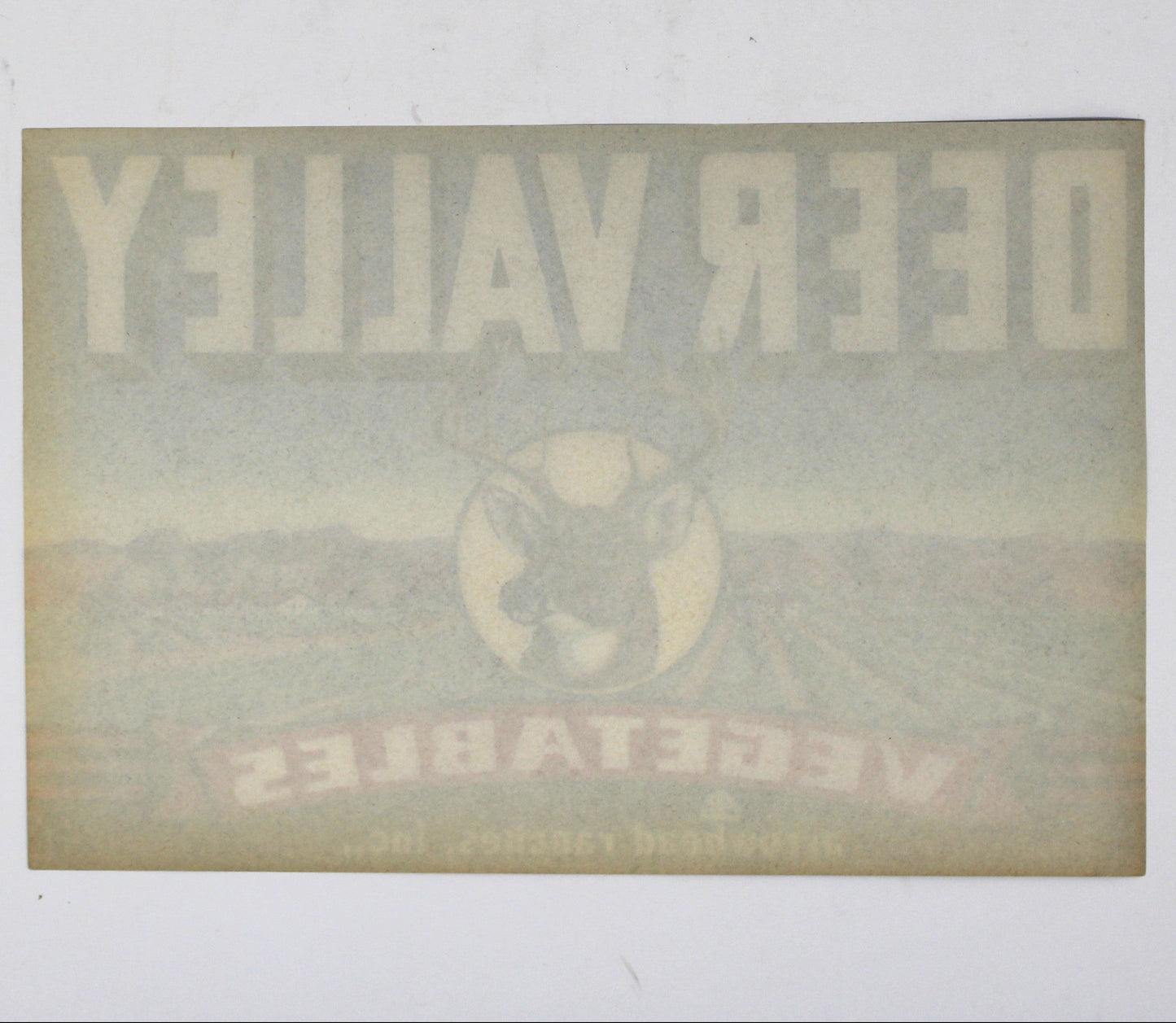 Crate Label: Deer Valley Brand Vegetables, Buck Head, Arrowhead Ranches, Glendale Arizona, 1940s