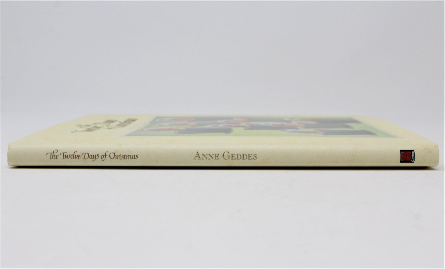 view of outer spine on vintage 12 days of Christmas photograph book