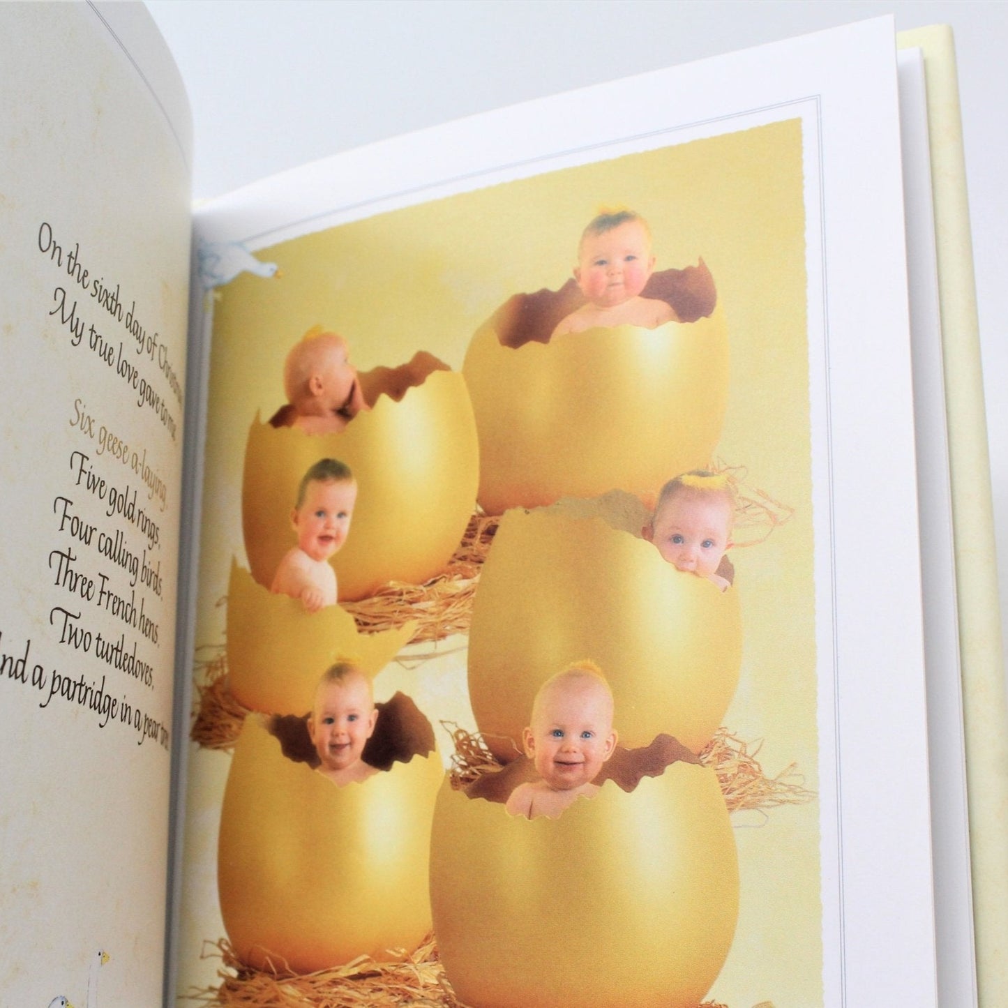 sample page from 12 Days of Christmas Geddes photographs
