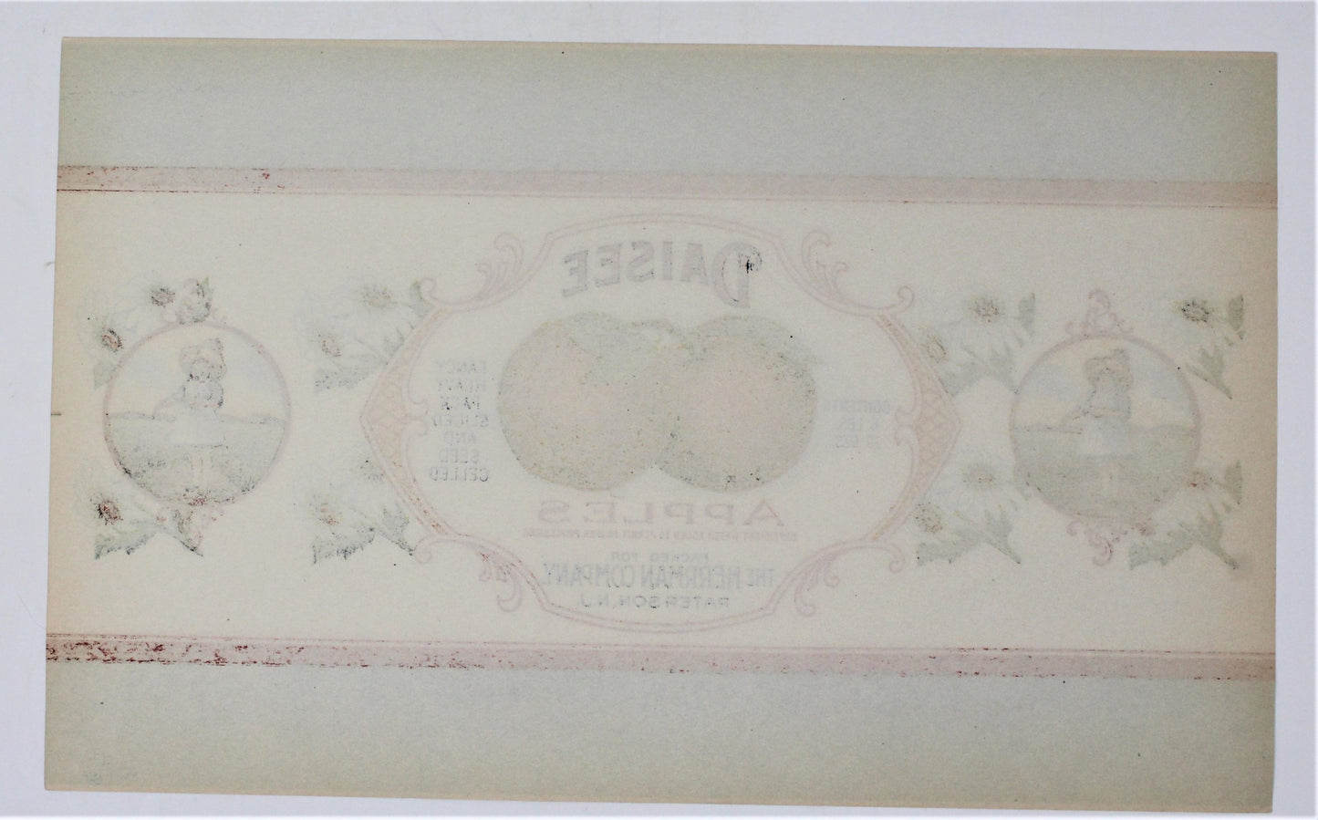 Can Label, Daisee Apples, Original Lithograph, Rare, NOS, Antique