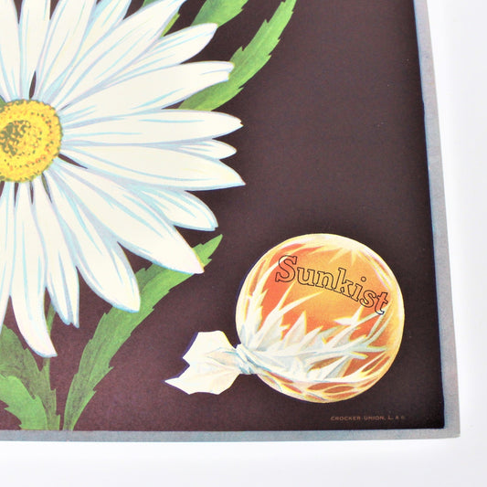 Crate Label, Daisy Brand, Sunkist Oranges, California, Vintage 1930's