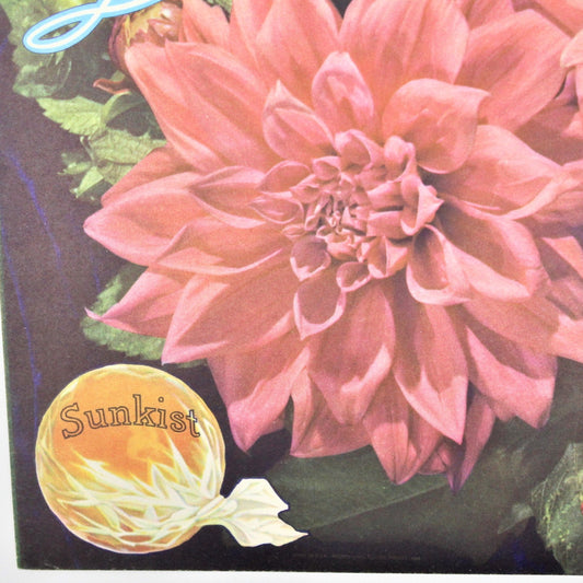 Crate Label, Redlands Dahlia, Sunkist Oranges, California, Vintage 1950's