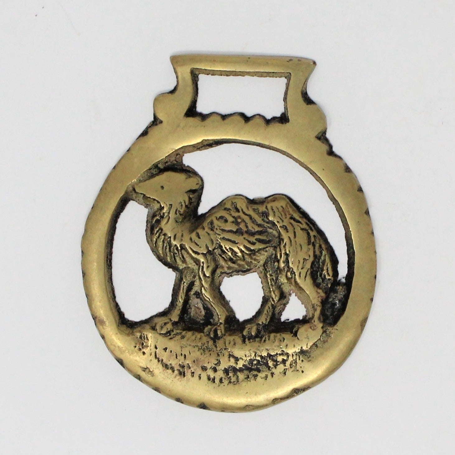 Horse Brass Bridle Harness Medallion, Two Humped Camel, Vintage Collec –  Antigo Trunk