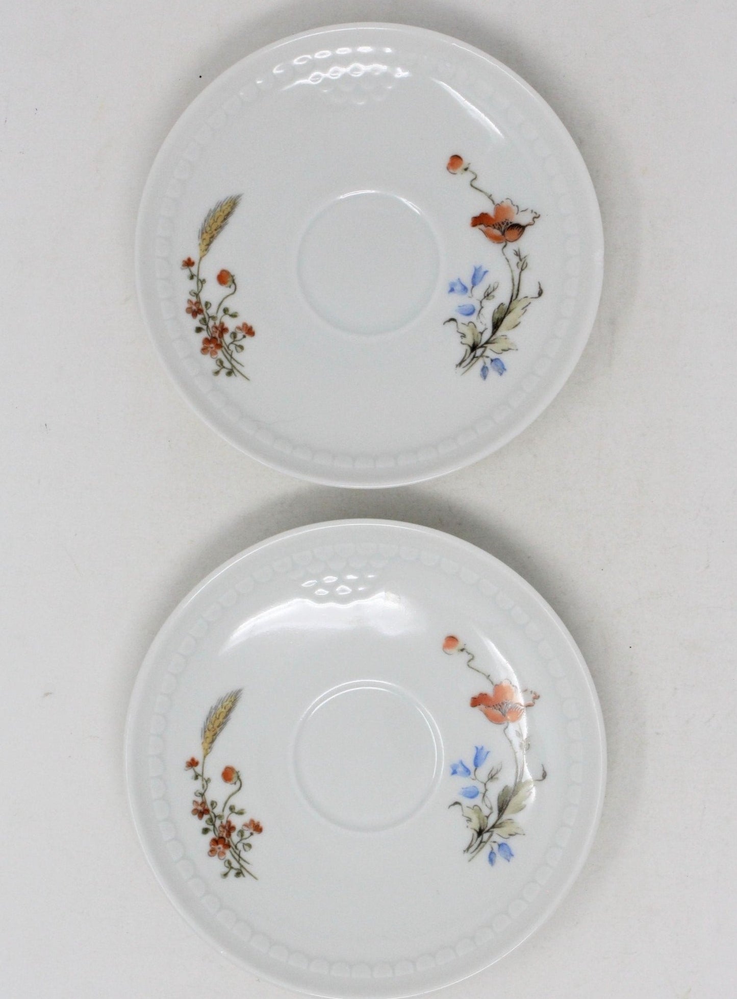 Demitasse & Saucer, Colditz C.P., Floral & Wheat, Germany, Set of 2, Vintage