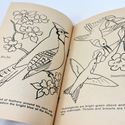 Coloring Book, Big Little Coloring Book, Birds to Color, NOS, Vintage