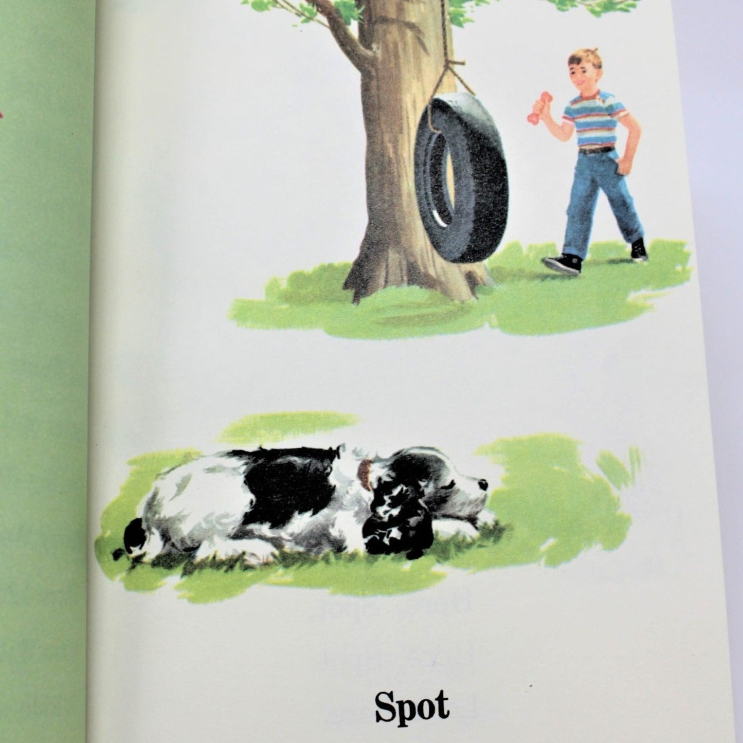 Children's Book, Dick and Jane, Fun with our Family, Vintage 1993, SOLD