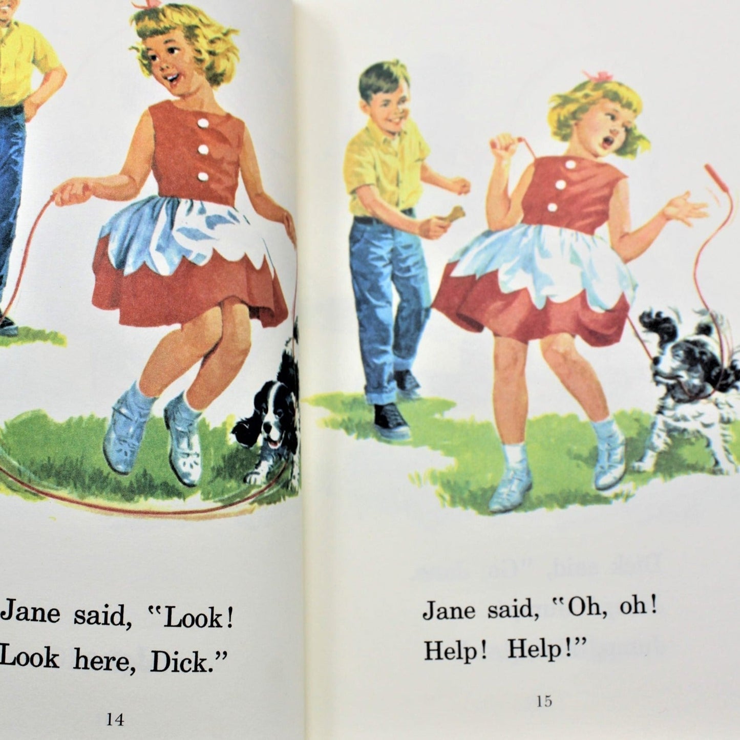 Children's Book, Dick and Jane, Fun with our Family, Vintage 1993, SOLD
