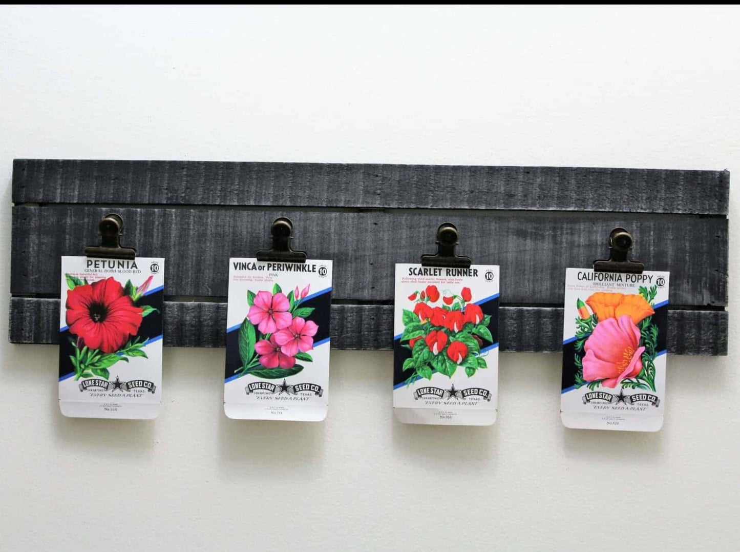 Seed Packets, Lone Star Seed Co, Moon Flower #636 NOS, Vintage