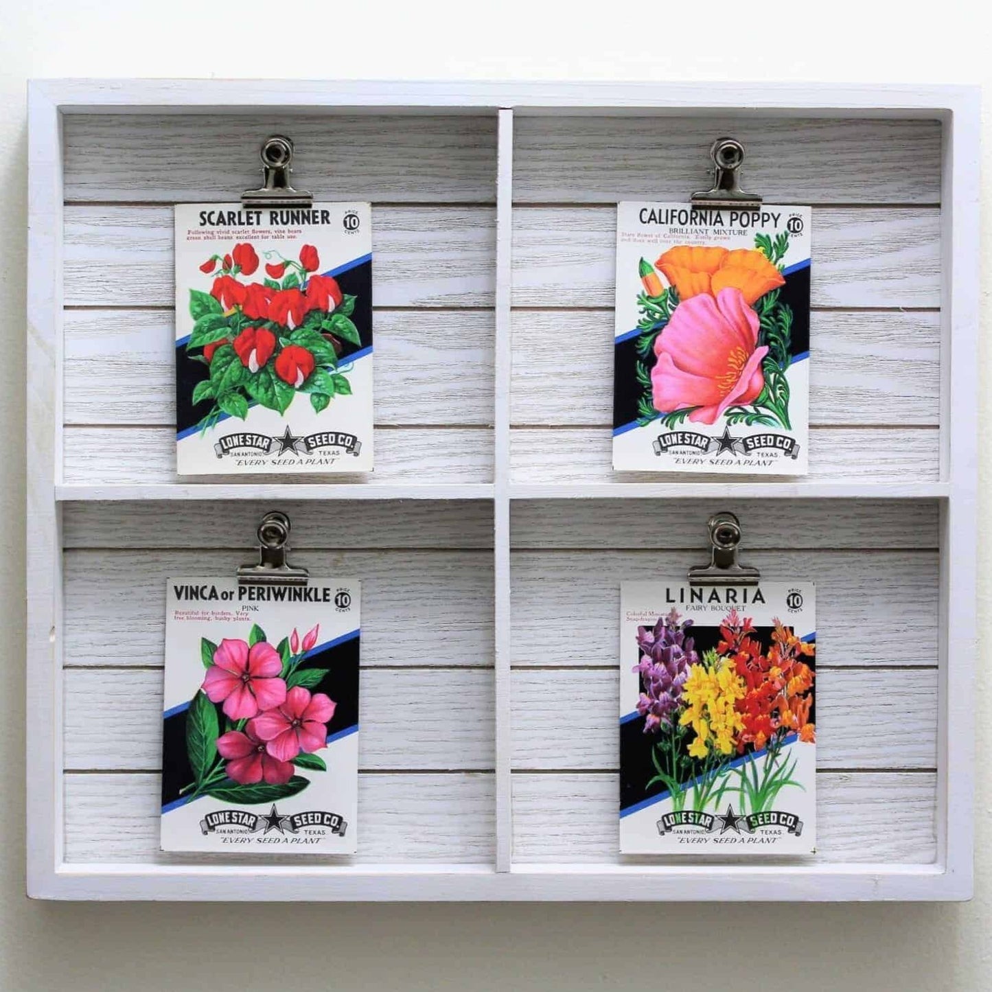 Seed Packets, Lone Star Seed Co, Linaria, NOS, Vintage