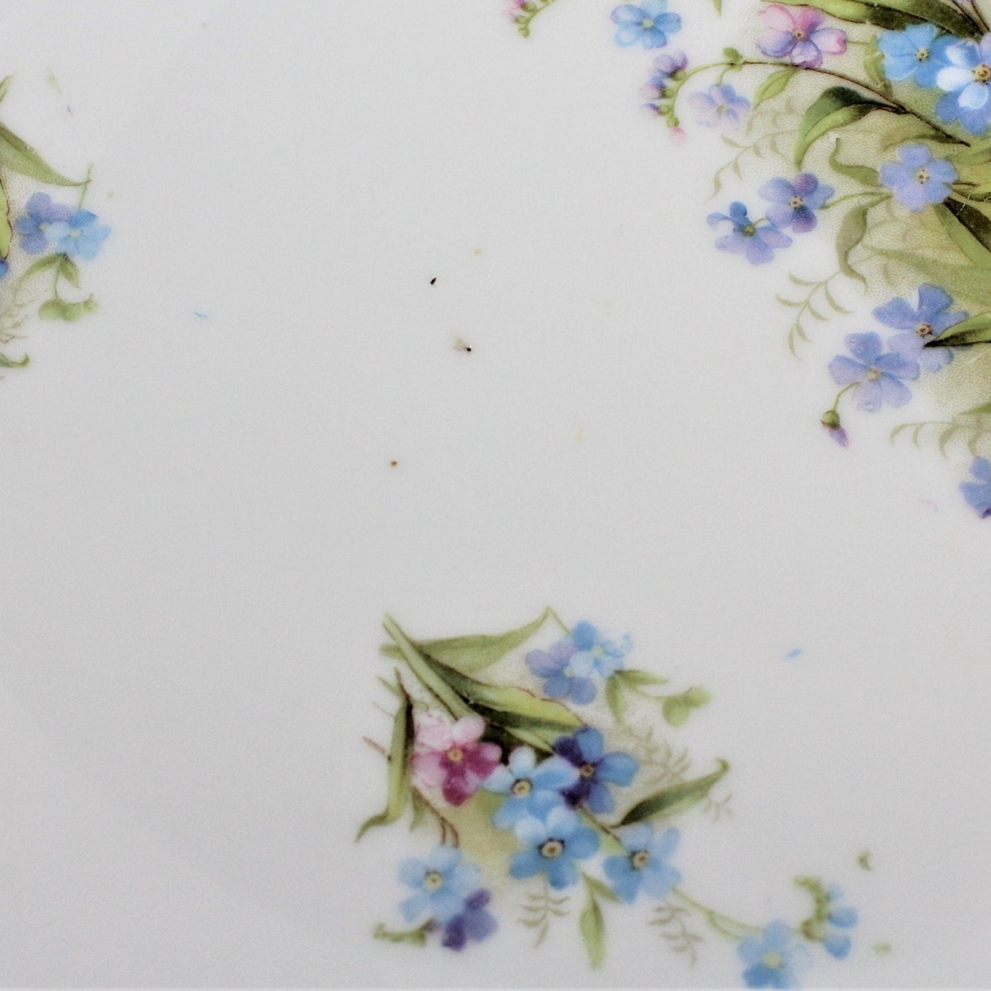 Cake Plate, Forget Me Nots, Iridescent, Bavaria, Vintage