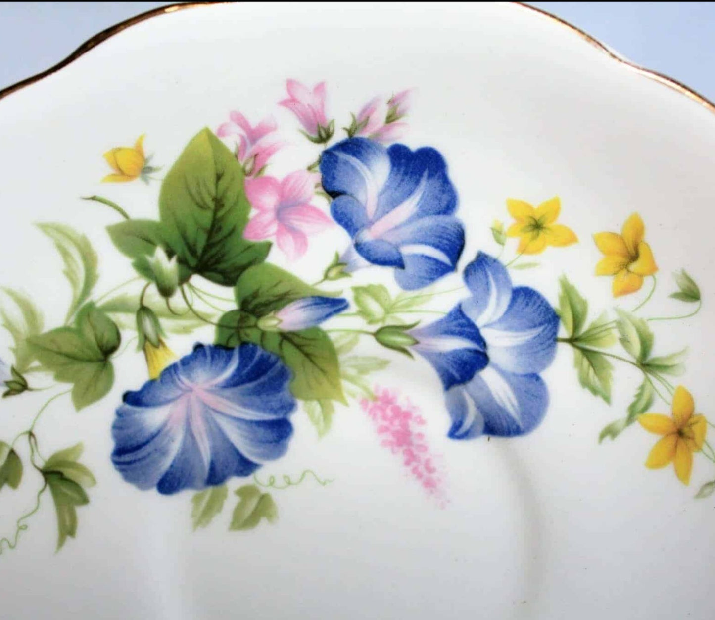 Teacup and Saucer, Royal Ascot, Blue Morning Glory, Bone China, Vintage