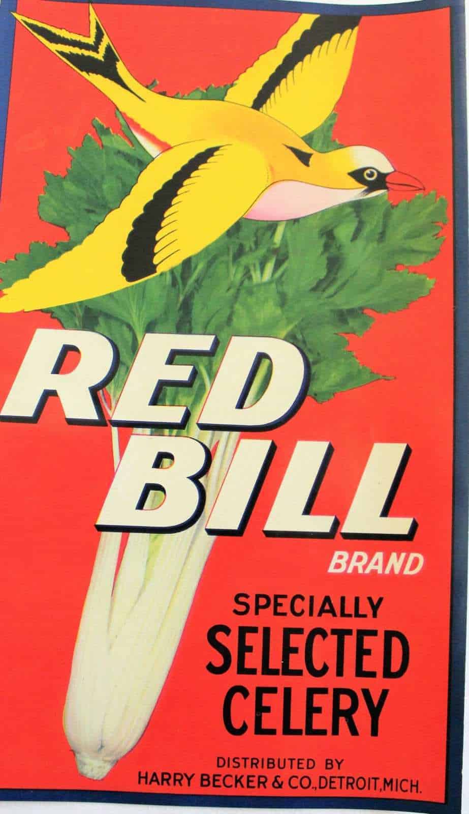 Crate Label, Red Bill Celery, Original Lithograph, 1930's, NOS, Vintage