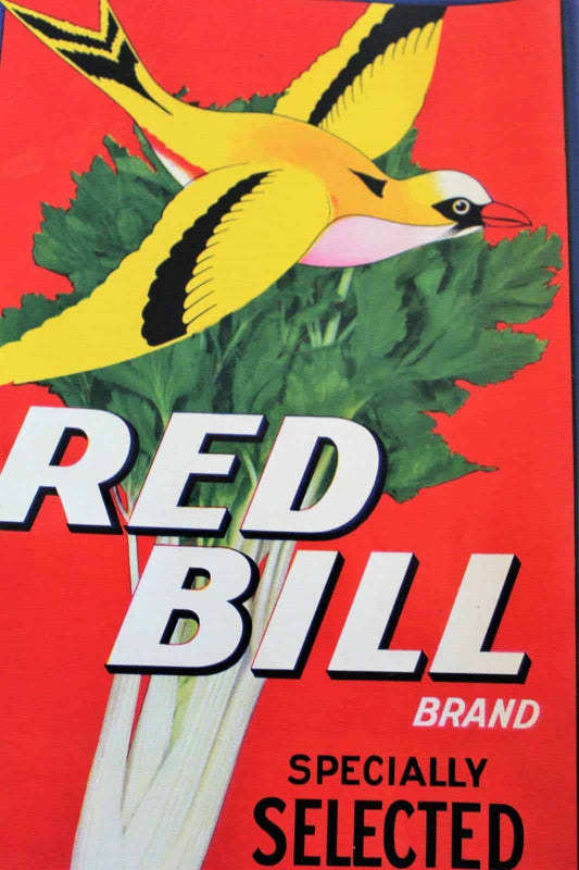 Crate Label, Red Bill Celery, Original Lithograph, 1930's, NOS, Vintage