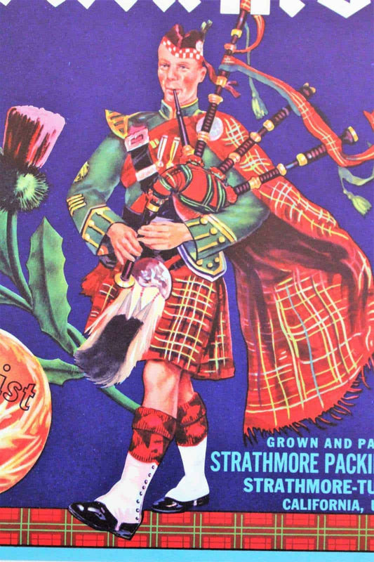 Crate Label, Strathmore Sunkist Oranges, Original Lithograph, 1930's NOS, Vintage