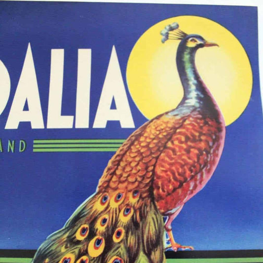 Crate Label, Vandalia Sunkist Oranges, Original Lithograph, 1930's NOS, Vintage