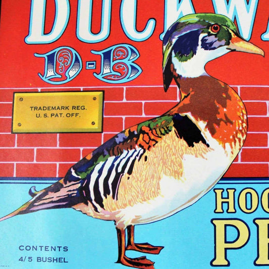 Crate Label, Duckwall, Hood River Pears, Original Lithograph, NOS, Vintage